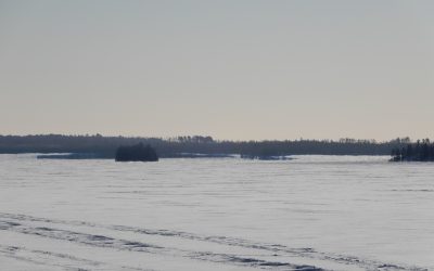 Thursday February 11, 2021