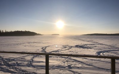 Monday February 8, 2021