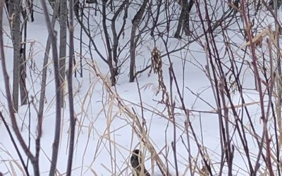 Wednesday February 10, 2021