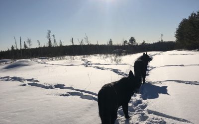 Thursday February 18, 2021