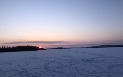 Friday February 19, 2021