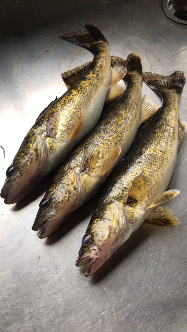 AB59C30C-C100-4898-A000-2D5E3FCD1209