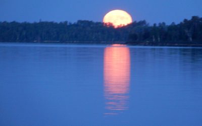 Friday June 25, 2021