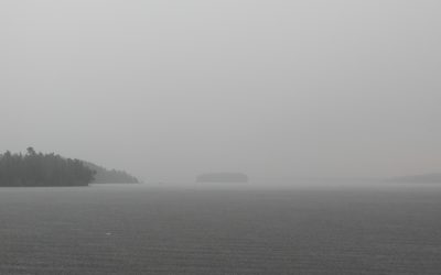 Monday July 19, 2021