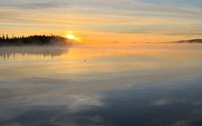 Wednesday October 19, 2022