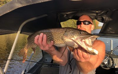 Sunday October 23, 2022