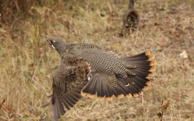 Thursday October 20, 2022