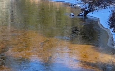 Wednesday April 26, 2023