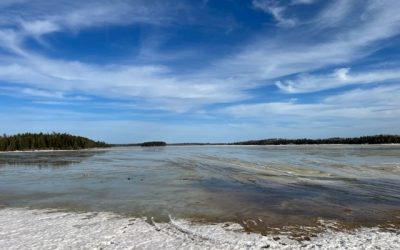 Tuesday April 11, 2023