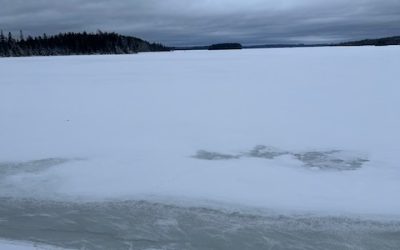 Monday April 17, 2023