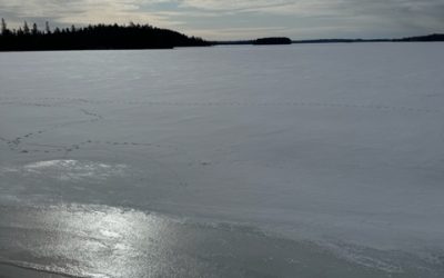 Monday April 24, 2023