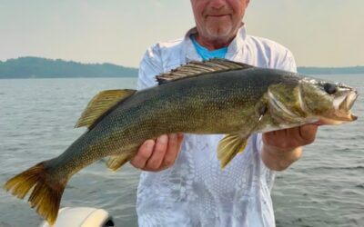 Tuesday July 29, 2025