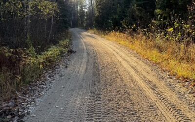 Tuesday November 4, 2025