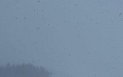 Monday March 9, 2025