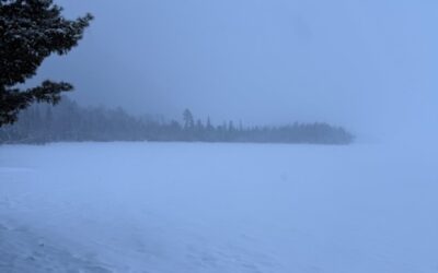 Friday March 13, 2026