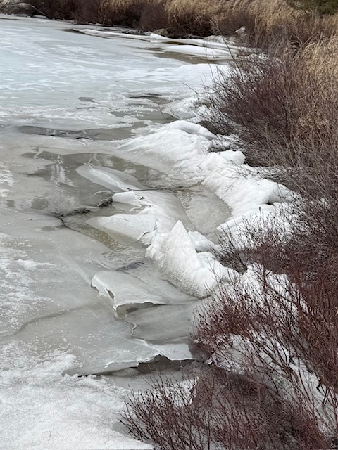 Tuesday April 21, 2026