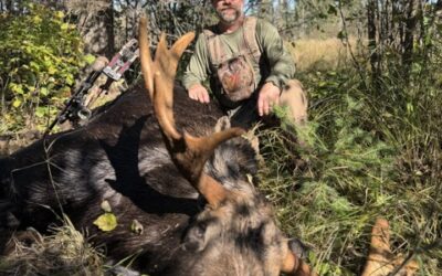 Saturday October 3, 2026
